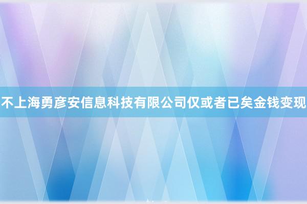 不上海勇彦安信息科技有限公司仅或者已矣金钱变现