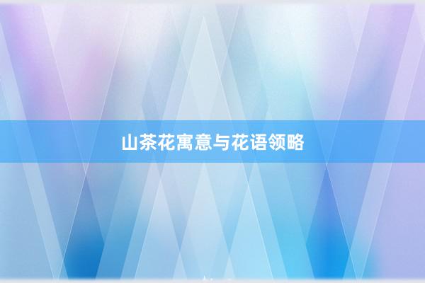 山茶花寓意与花语领略