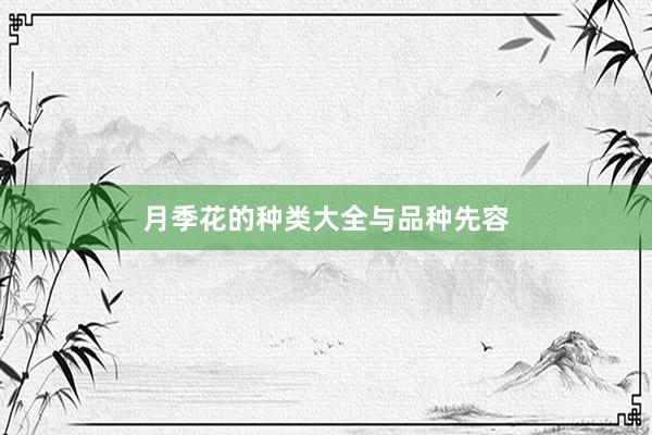 月季花的种类大全与品种先容