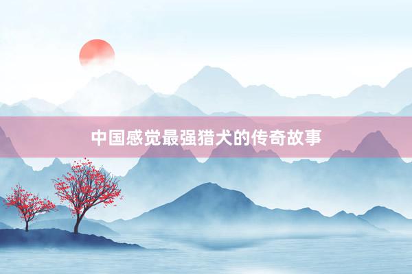 中国感觉最强猎犬的传奇故事
