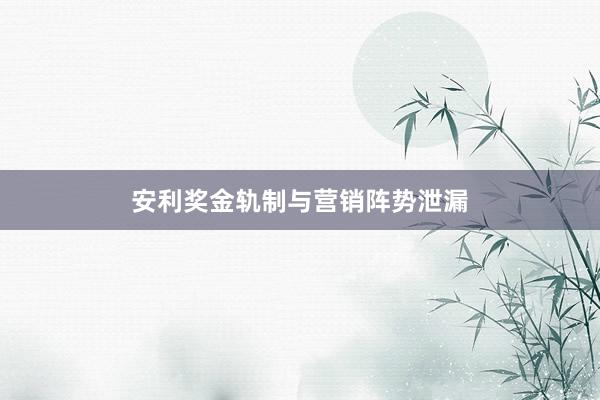 安利奖金轨制与营销阵势泄漏