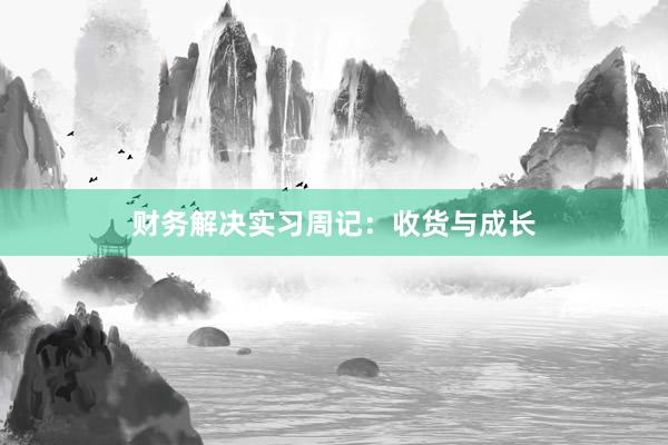 财务解决实习周记：收货与成长